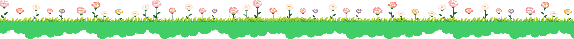 Horizontal Image